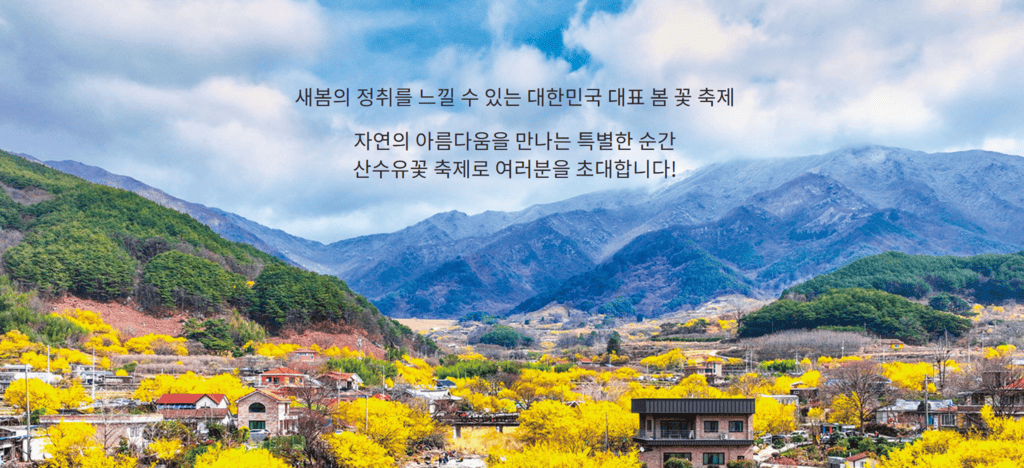 구례산수유축제 일정, 서울에서 당일치기 가능! 2025년