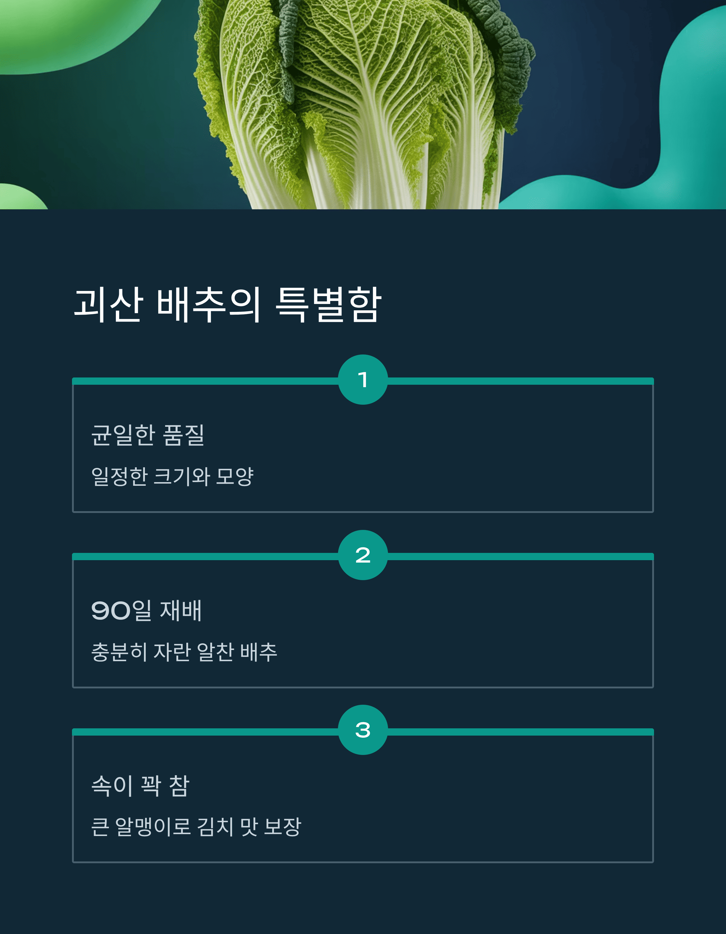 저렴한 절임 배추 사전 예약 꿀팁