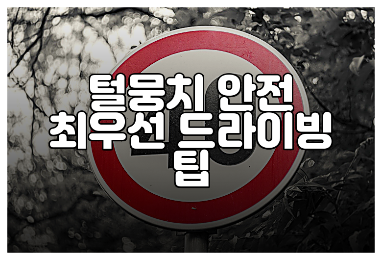 털뭉치 안전 최우선 드라이빙 팁