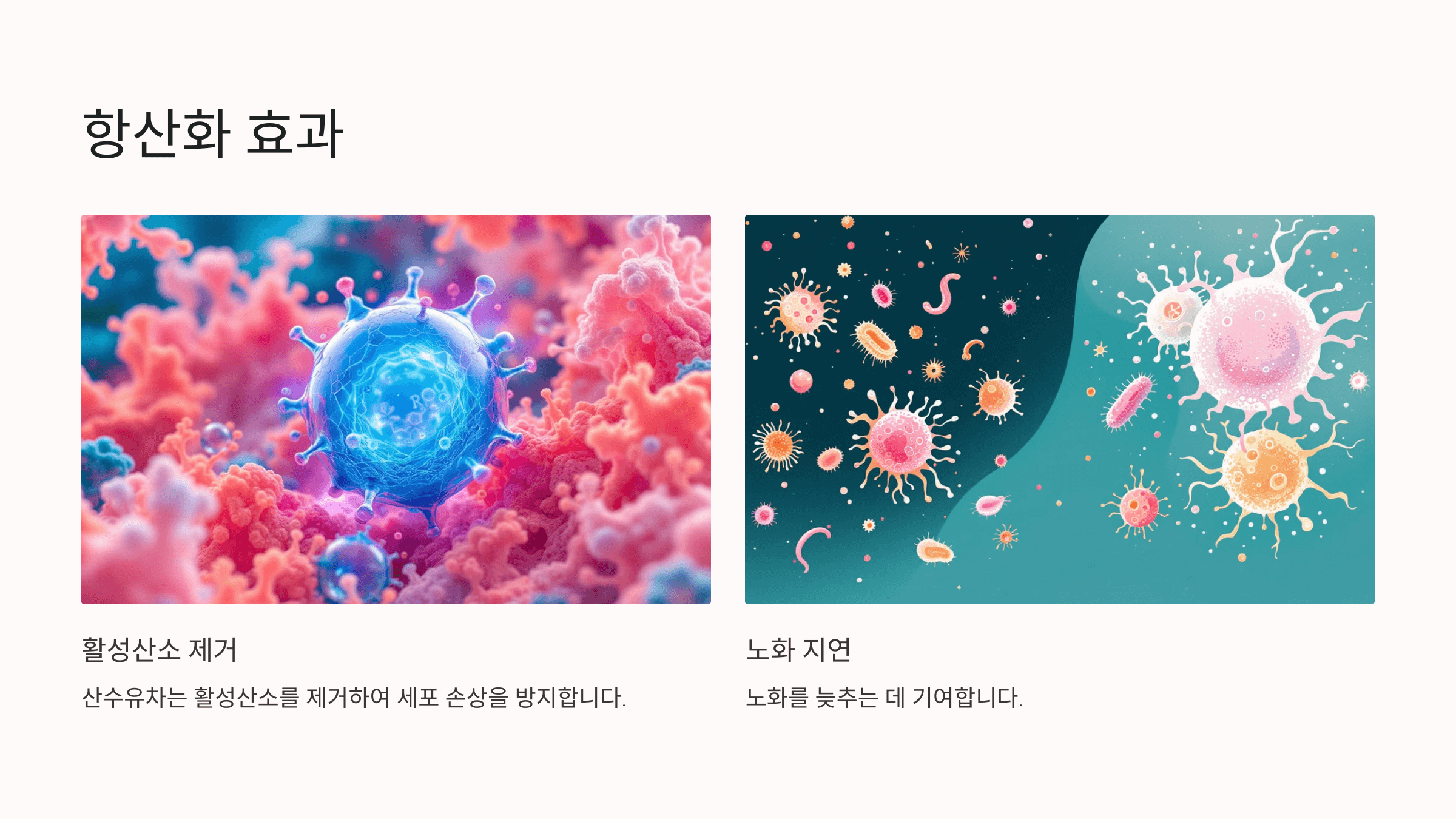 산수유차 사진입니다.