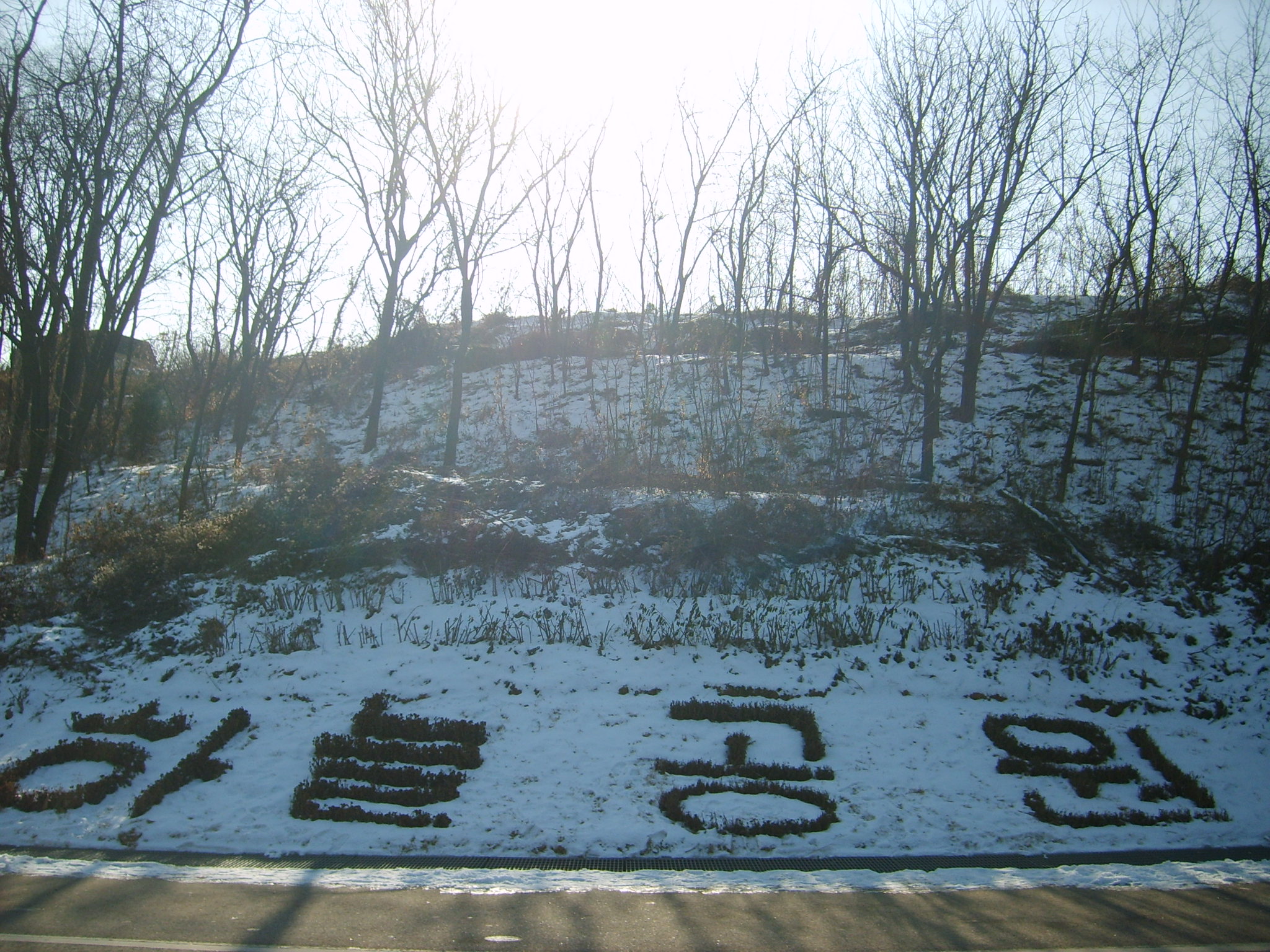 마포구 하늘공원(Haneul Park)