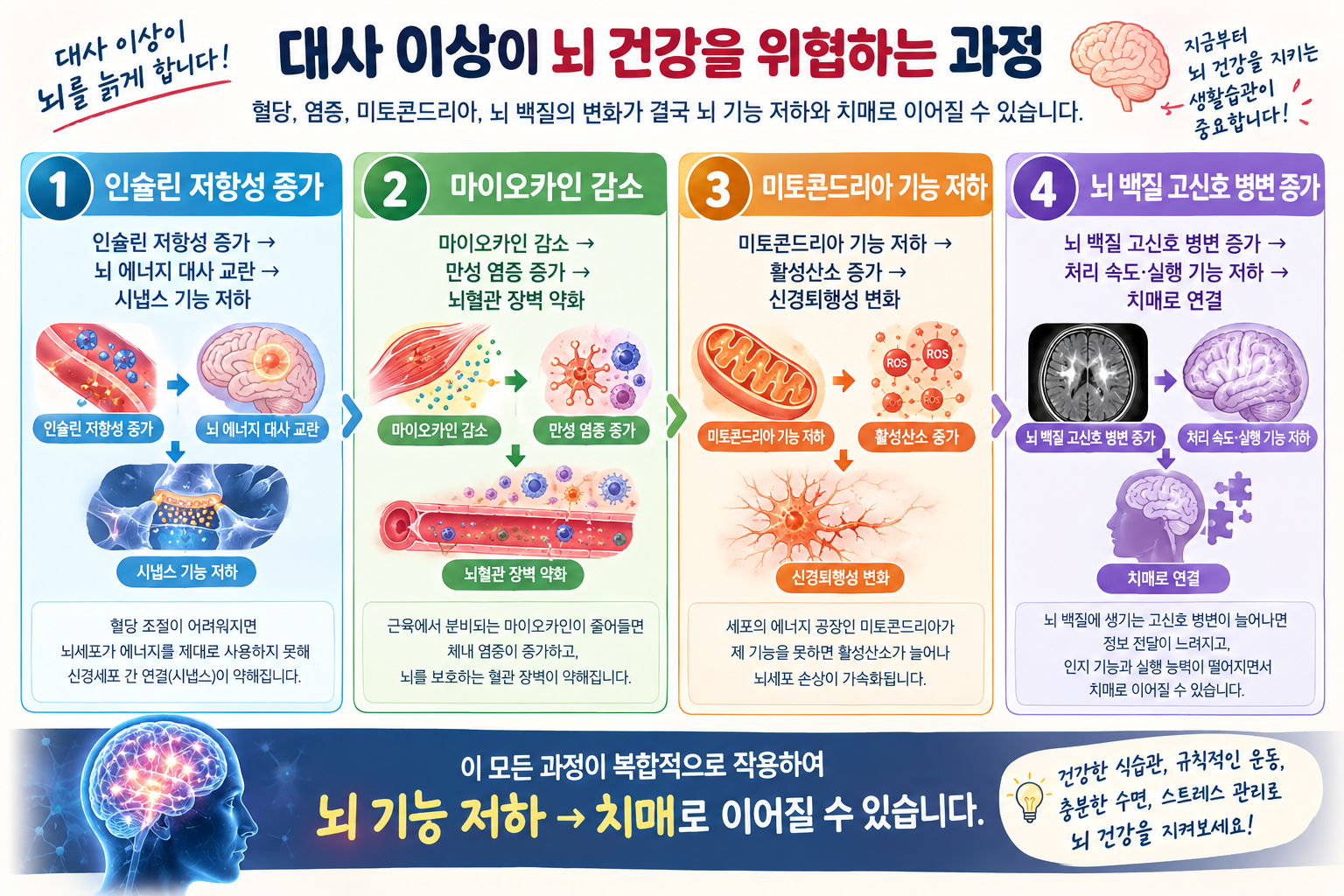 근감소가 되면 치매에 걸릴 수 있다?