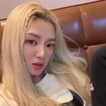 에이핑크 윤보미 소녀시대 효연, 해외 촬영중 발리 억류