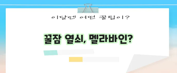 수면 개선에 좋은 멜라바인 효능과 식물성 멜라토닌 세로토닌 차이를 알아봅시다!