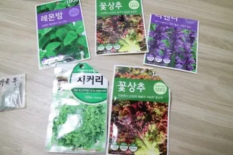 8월에 심는 작물 종류와 늦기 전 파종법 추천_20