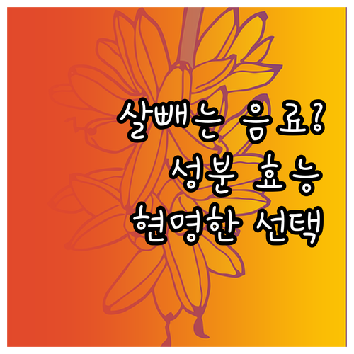 살 빼는 다이어트 음료? 성분 효능과..