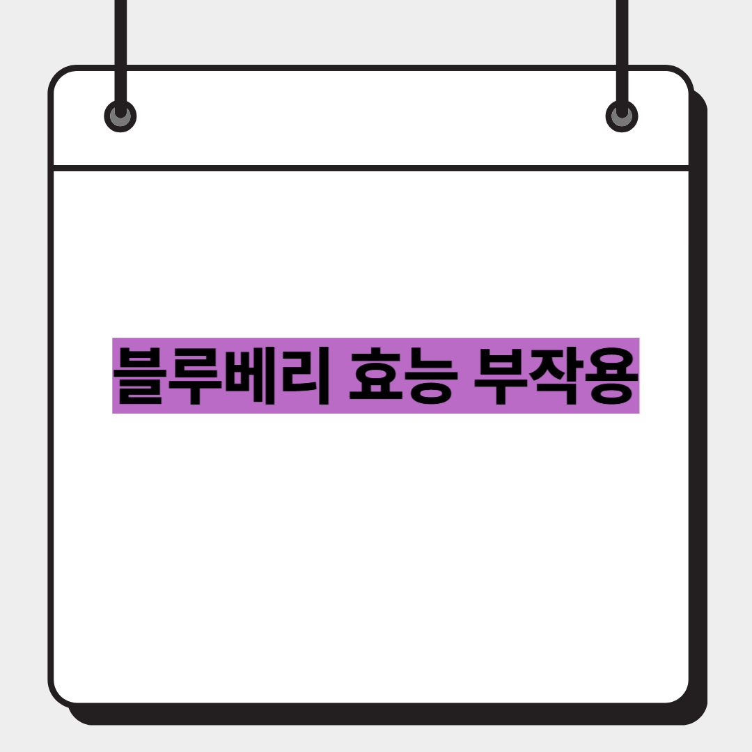 블루베리 효능 부작용