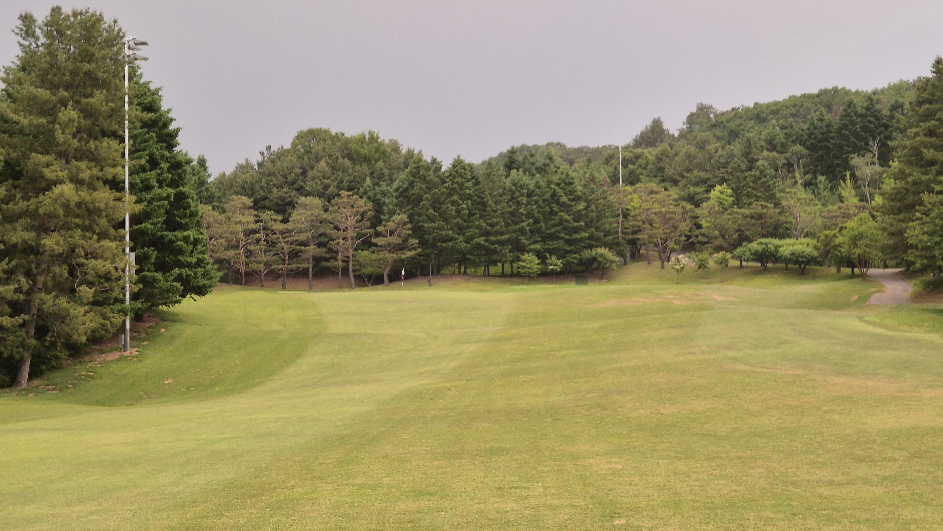 이포cc 라운드 후기