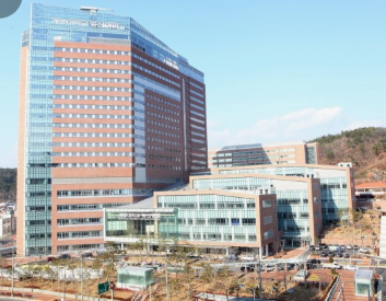 부산,대전,대구 상급종합병원 TOP리스트