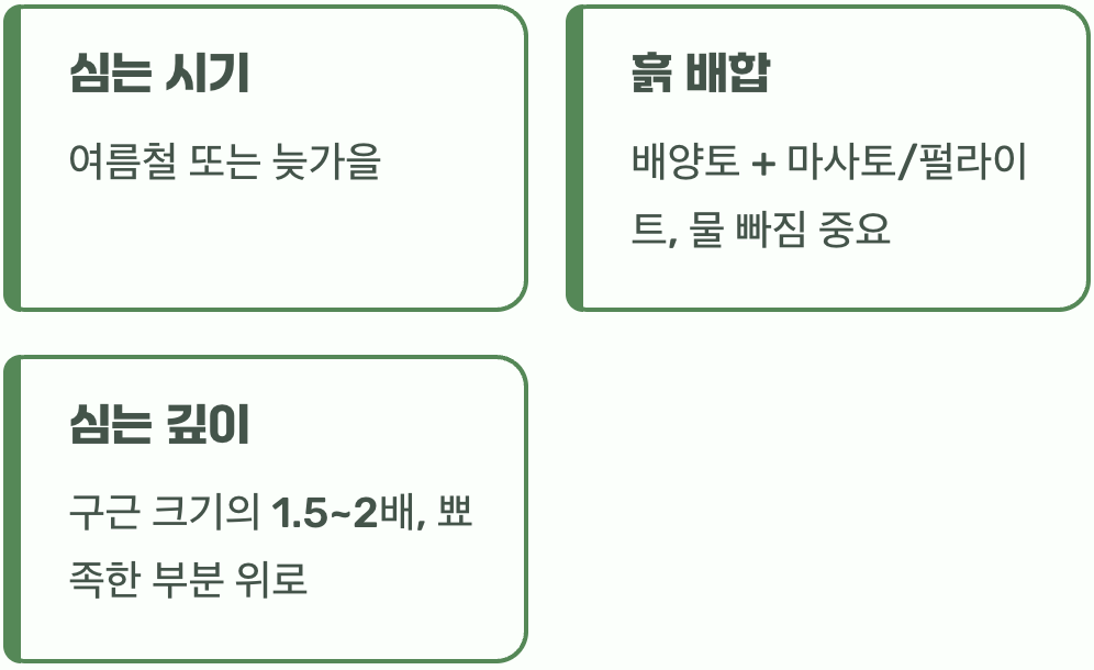 첫 만남, 건강한 구근 심기