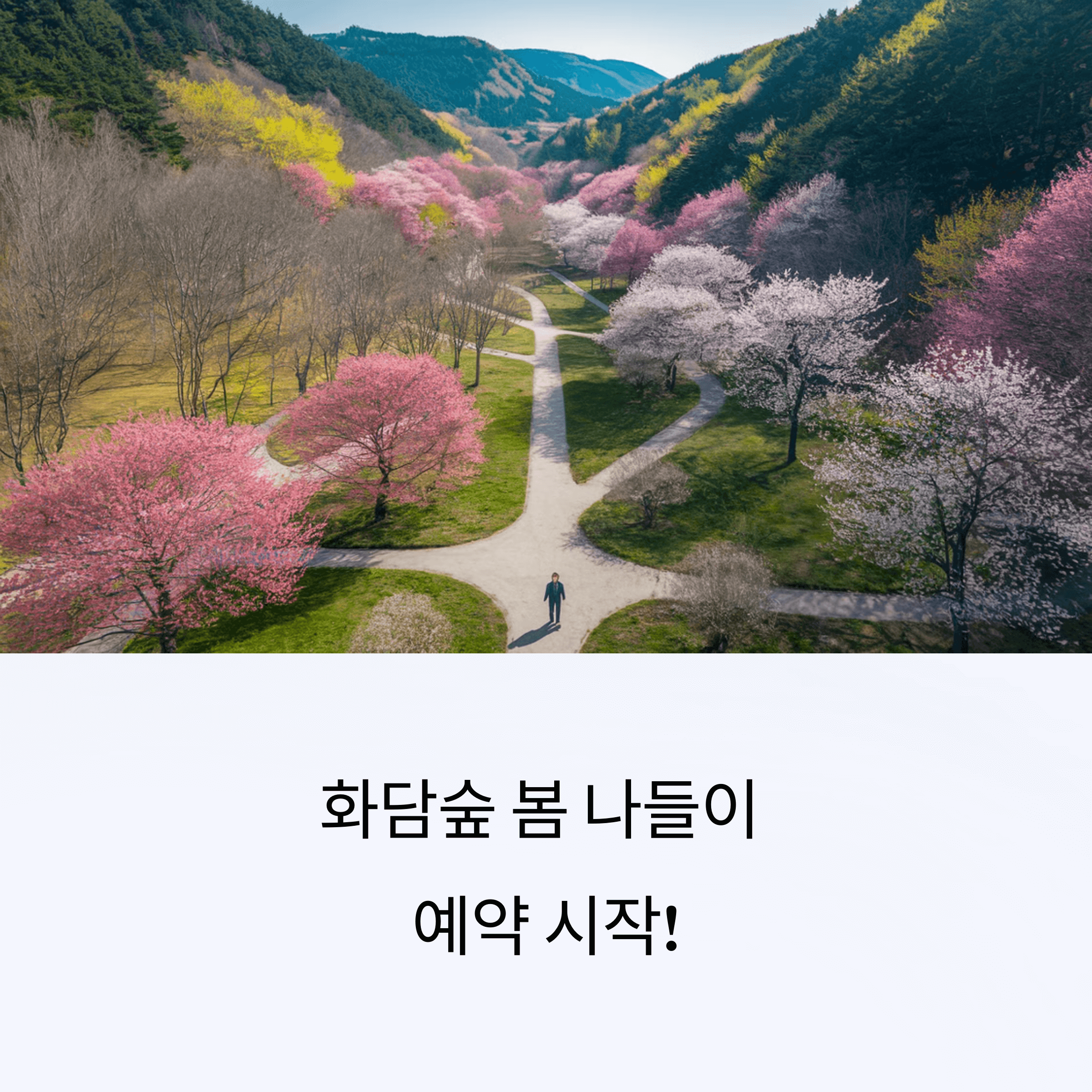 2025 화담숲 예약 방법 ❘ 화담채 &amp; 모노레일 사전 예매