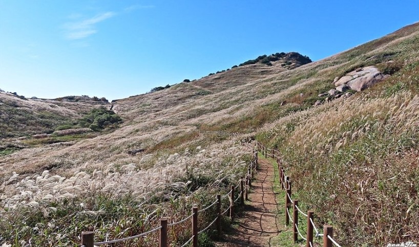 화왕산