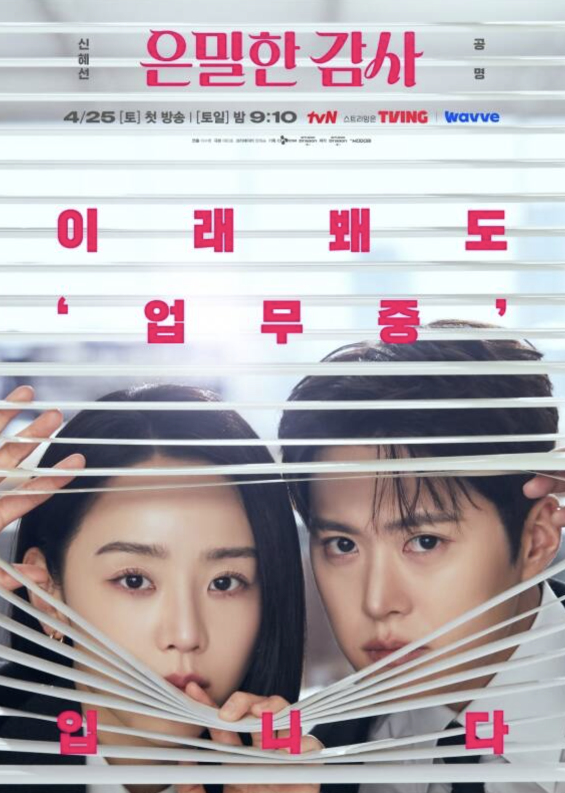 신혜선 출연 드라마 은밀한 감사 포스터