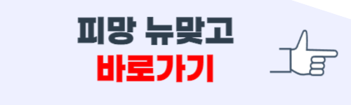 피망 뉴맞고 바로가기