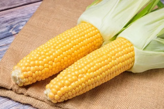 배변활동에 도움을 주는 옥수수