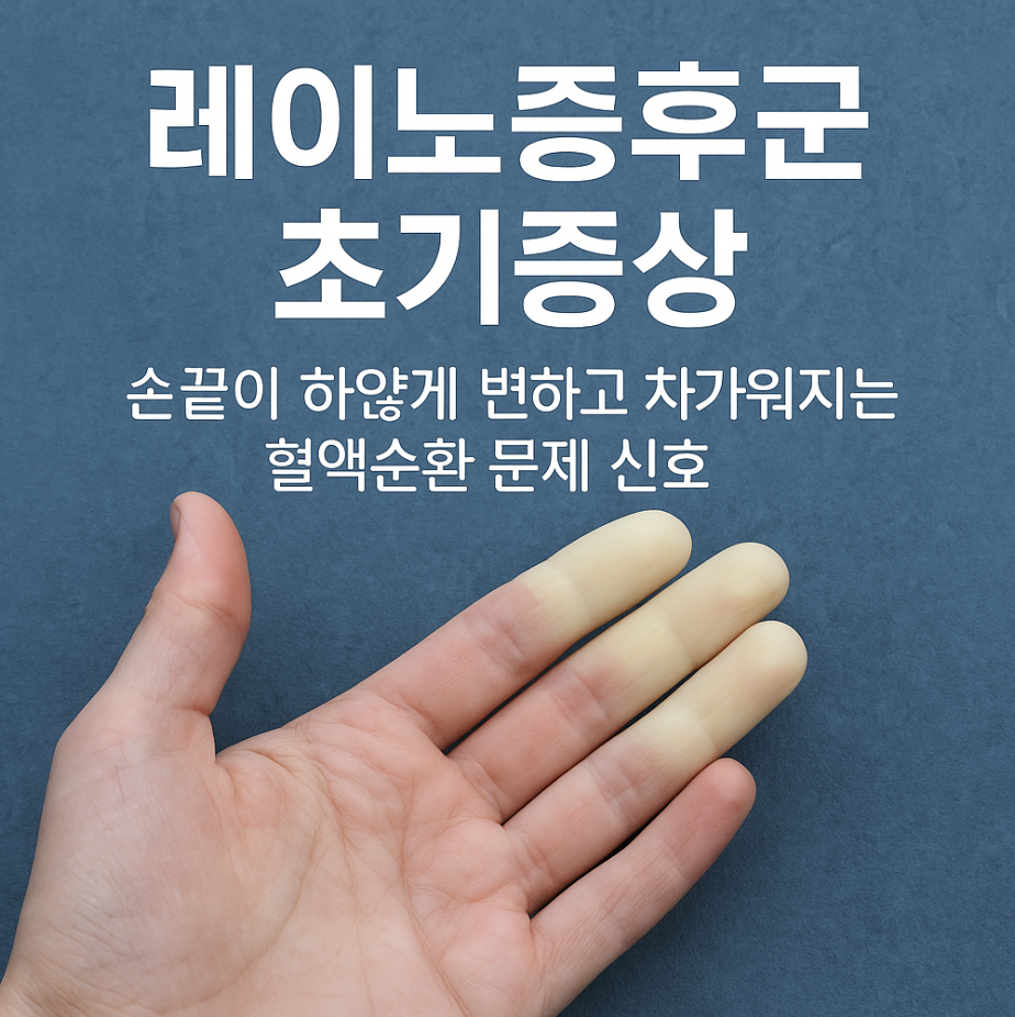 레이노증후군 초기증상 손끝이 하얗게 변하고 차가워지는 혈액순환 문제 신호