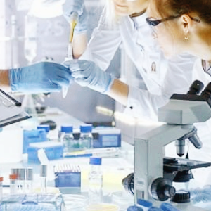 제약 바이오 관련주 대장주 테마주 TOP5 : 알테오젠