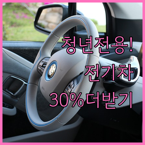 청년 전기차 보조금 30퍼센트 추가 ..