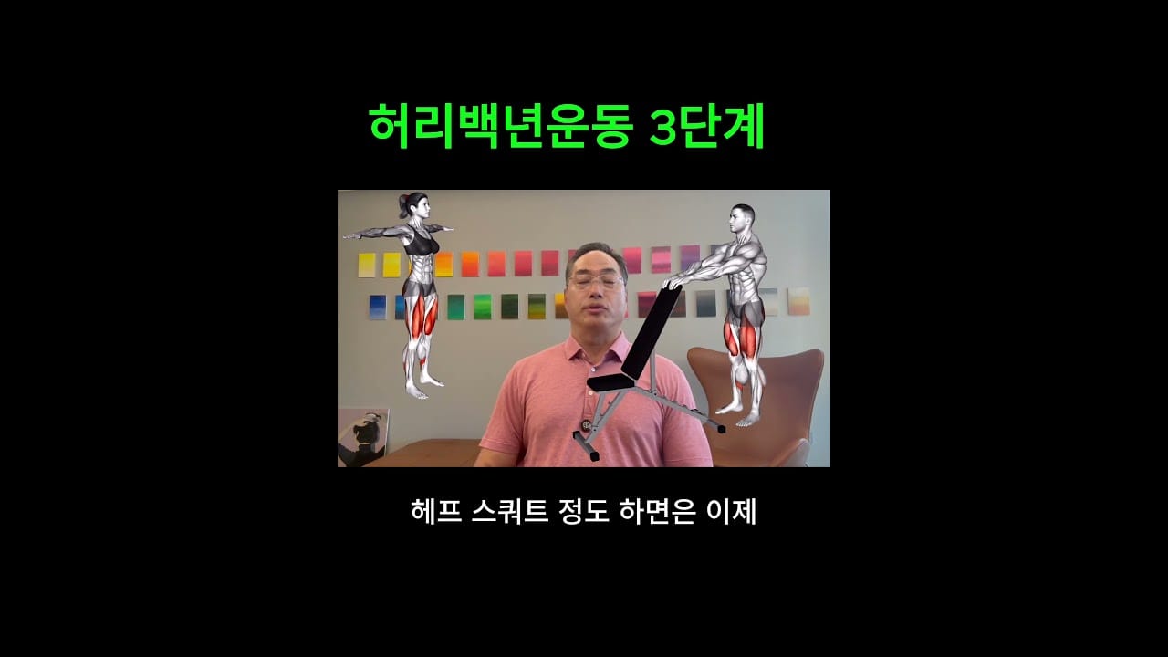 백스트레처 추천 사용법 올바른 자세 허리 스트레칭