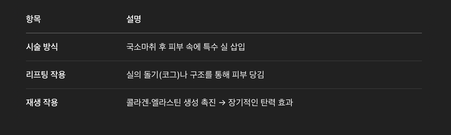 실리프팅