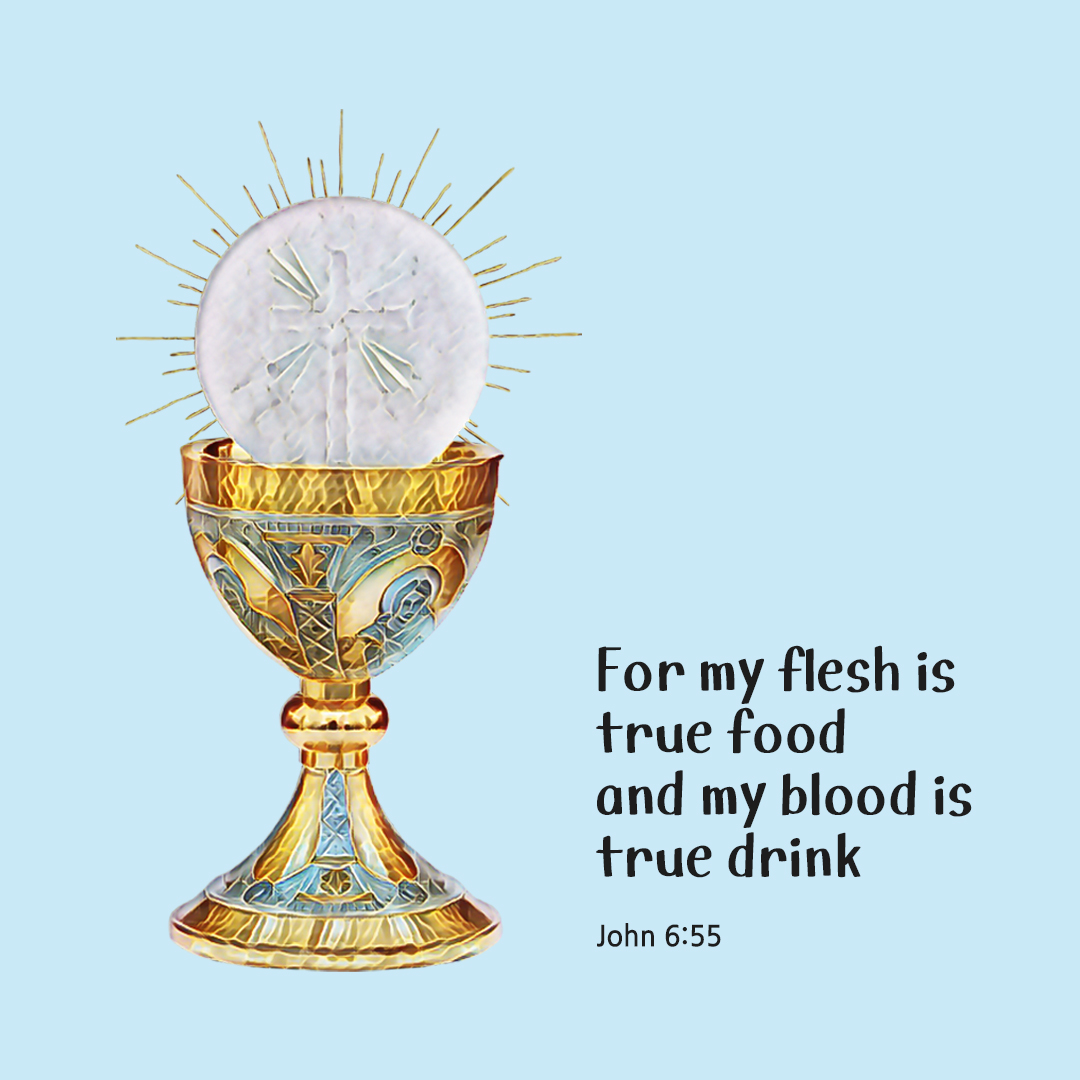 For my flesh is true food, and my blood is true drink. (John 6:55) by pieonane Daily Bible quote image