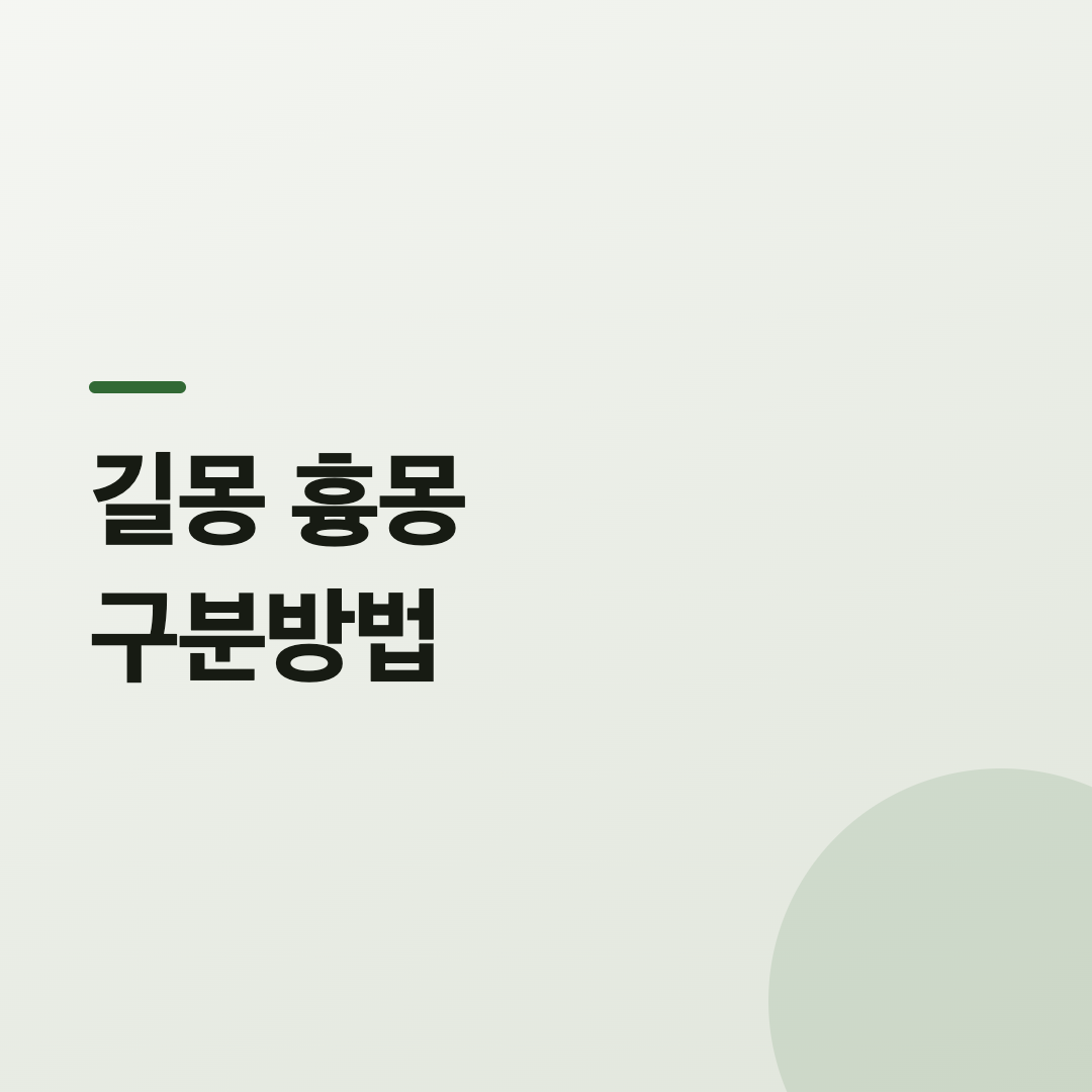 조상 꿈 해몽 이후 마음을 정리하는 모습