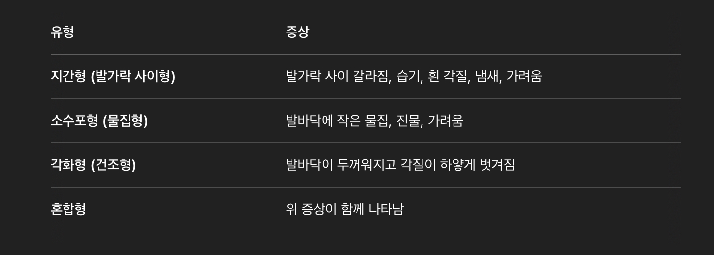 무좀의 종류