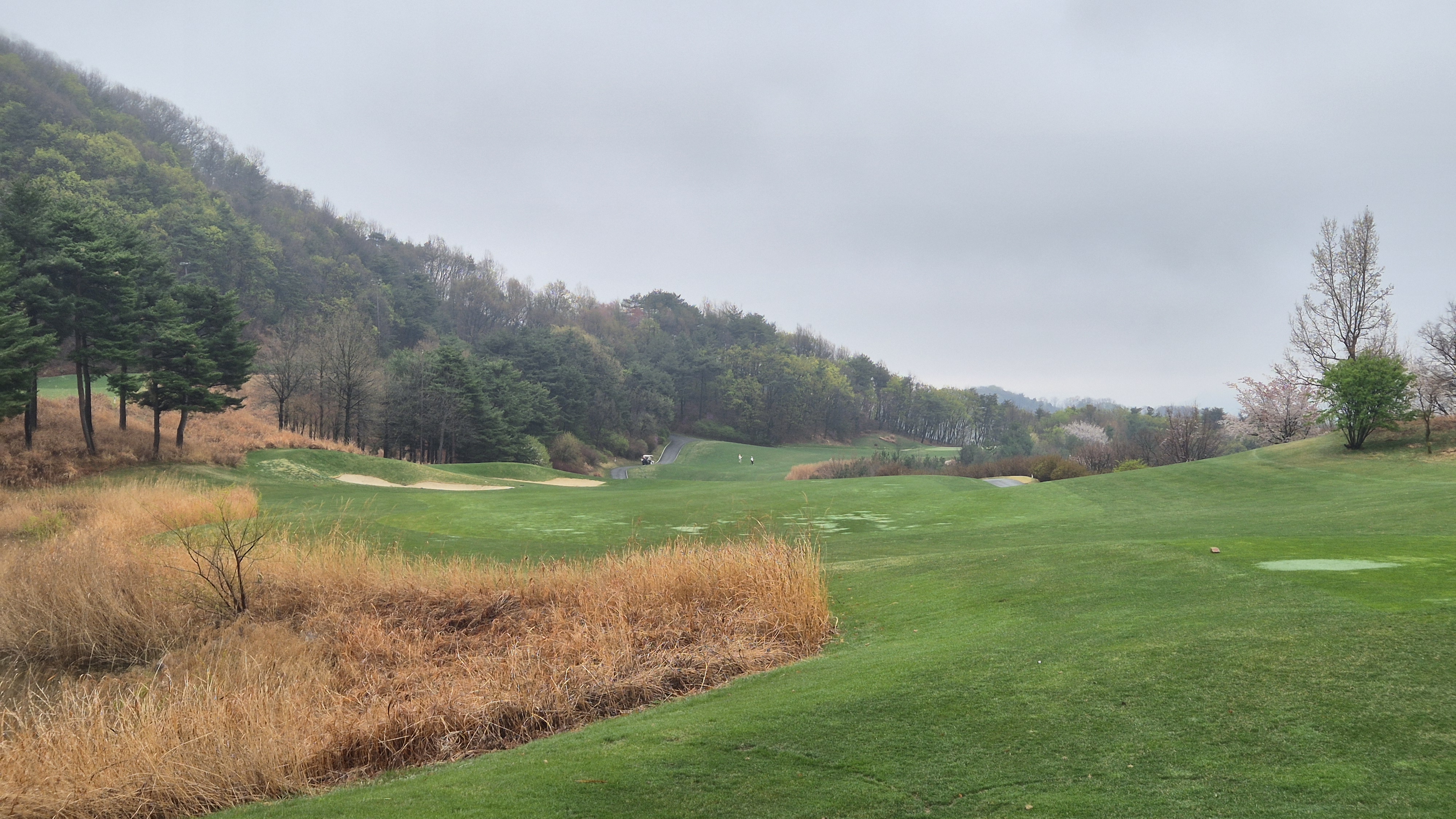 레인보우힐스cc 동-남 코스 사진 및 공략 정보