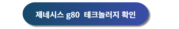 제네시스, 제네시스 g80, 제네시스 g80 디자인, 제네시스 g80 가격표, 제네시스 g80 제원