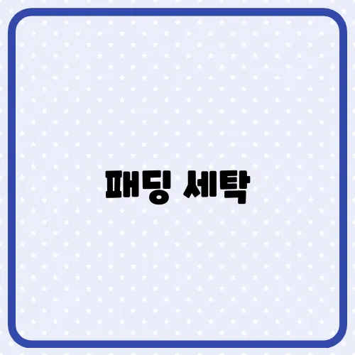 패딩 세탁, 집에서 간편하게 셀프 손질 방법