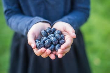 면역력을 높이는 슈퍼푸드