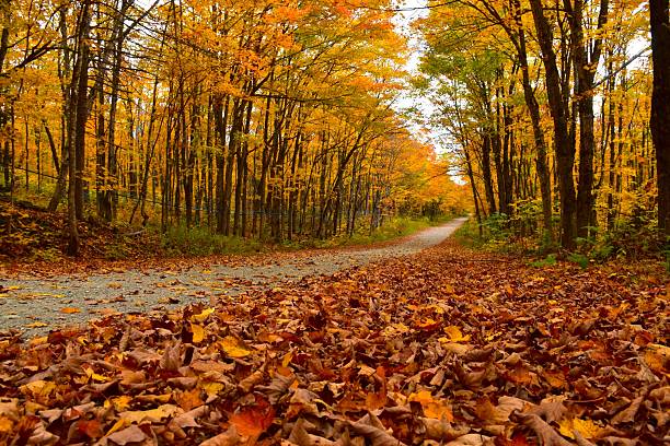 가을을 건강하게 보내는 방법