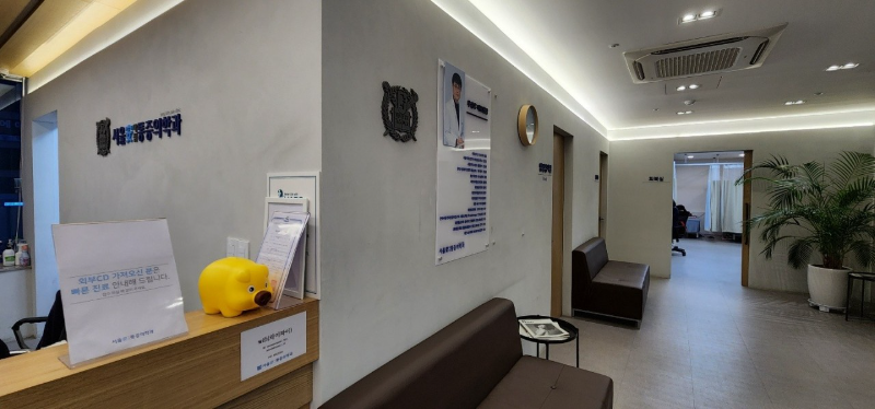 송파구 송파1동 정형외과 전문의 유명하고 잘하는 곳 추천 TOP 5