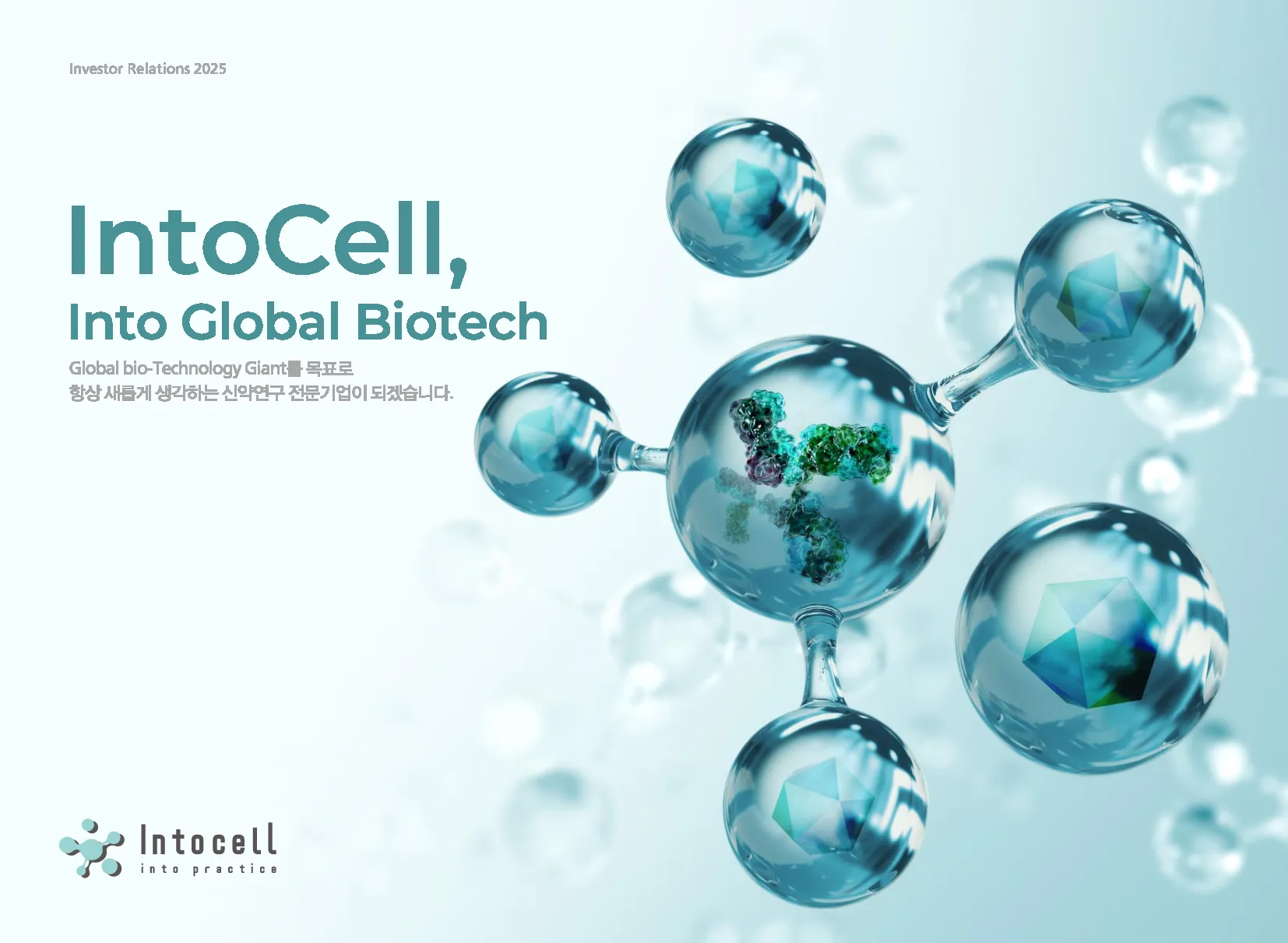 인투셀 기업 설명 이미지