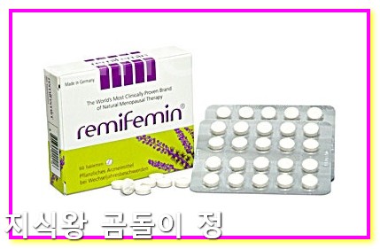 레미페민 안젤릭 크리멘 듀아비브 폐경기 증상별 맞춤 치료 가이드3