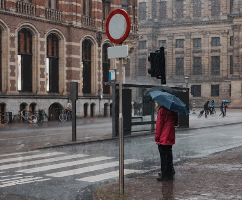 2024년 장마와 2025년 장마 비교