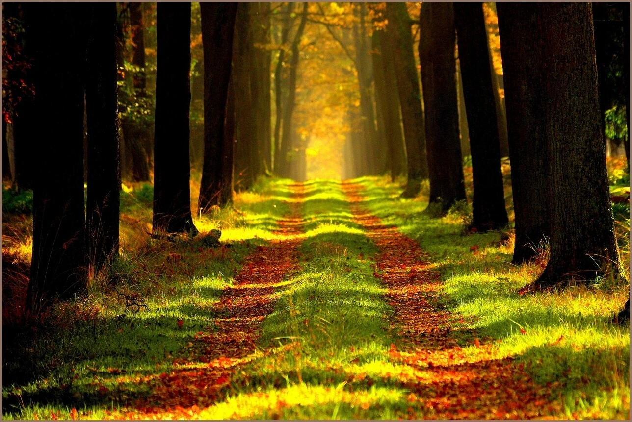 수협 정기예금 금리