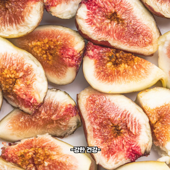 무화과 재배방법