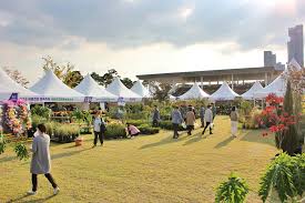 2024 세종전의묘목축제 기본일정과 프로그램 소개