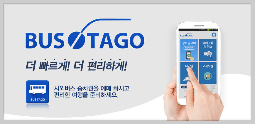 홍성시외버스터미널 시간표, 주요노선 3분 바로보기