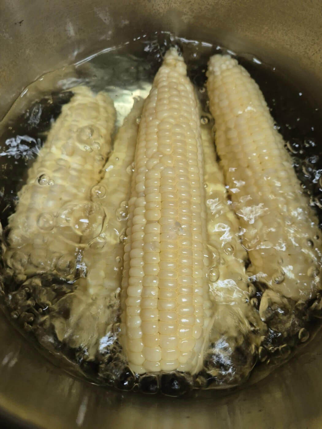 옥수수 삶는 법 시간 뉴슈가 및 보관방법 