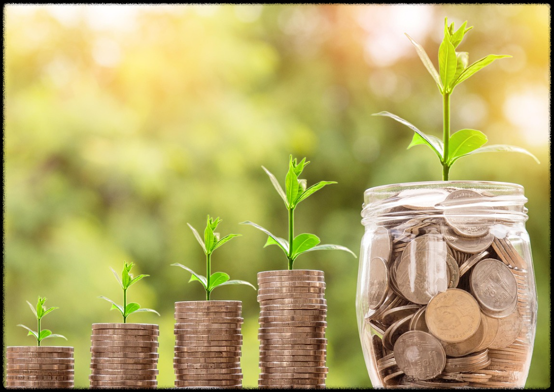 특별재난지역 관련 사진