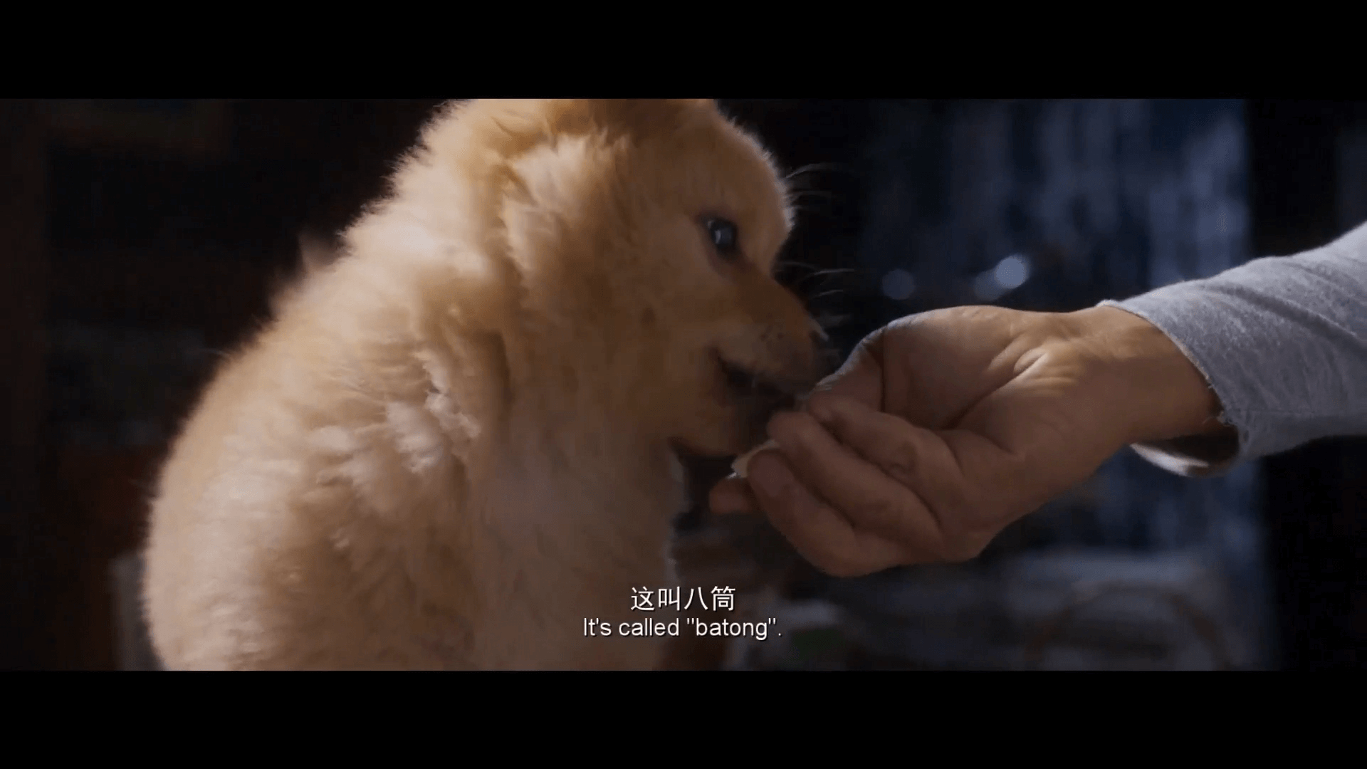 영화대사