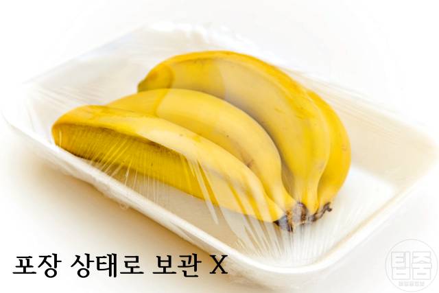 바나나 보관법,바나나 멍,바나나스탠드