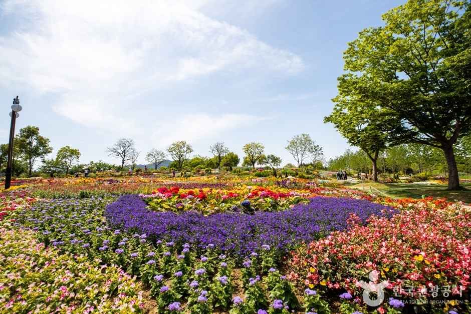 순천 가볼만한곳 베스트10