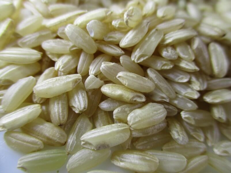 여러 알의 현미