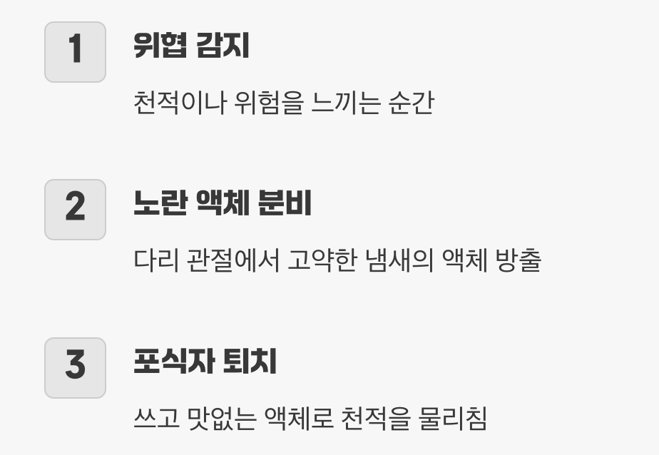 진실 4: 맛없는 피&amp;#44; 비밀 무기