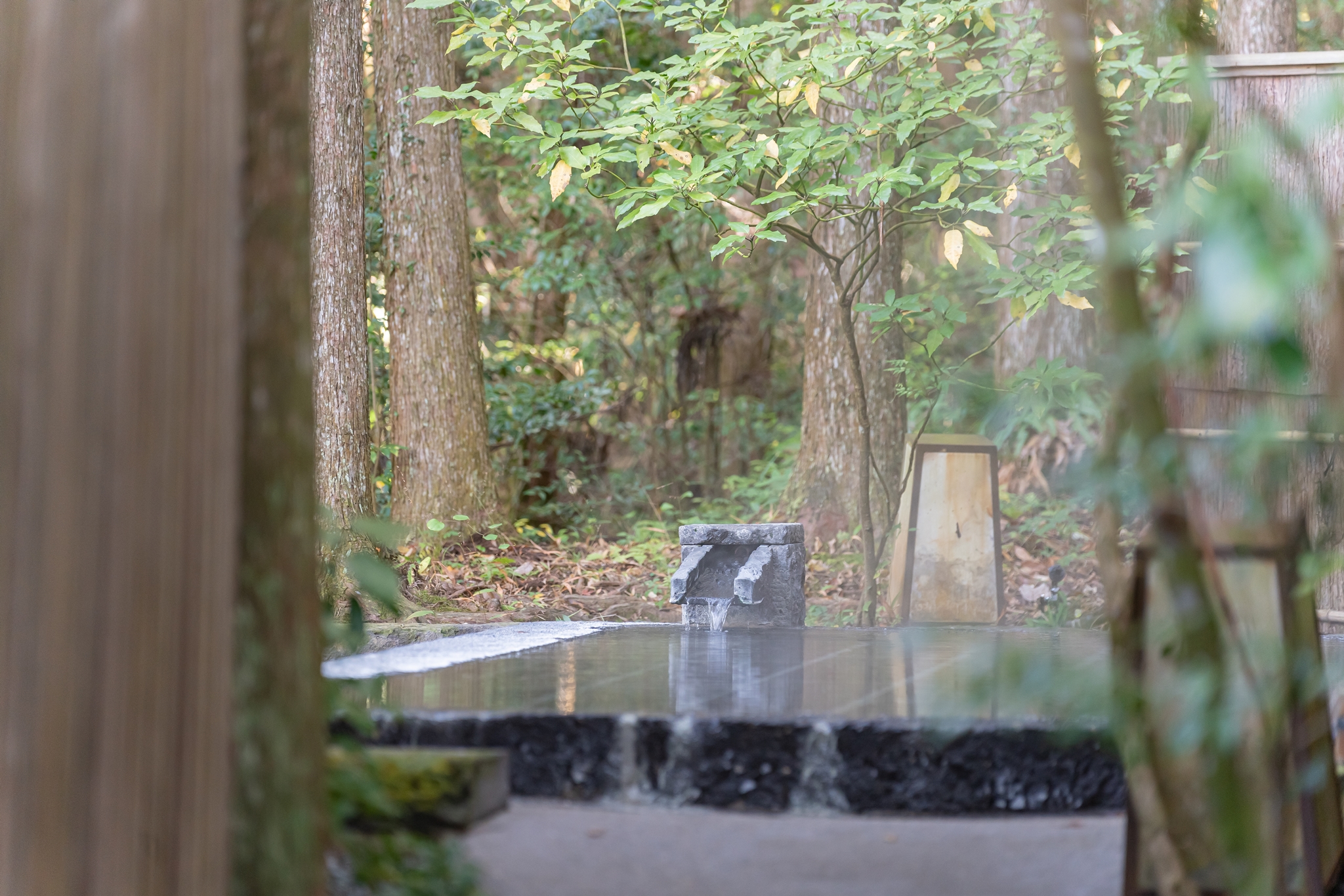 #후쿠오카온천 #일본온천 #규슈온천 #오이타온천 #구마모토온천 #와키타온천 #하라즈루온천 #기쿠치온천 #히라야마온천 #유후인온천 #우레시노온천 #벳푸온천 #유노히라온천 #아마가세온천 #온천료칸 #일본온천여행 #후쿠오카여행 #겨울온천