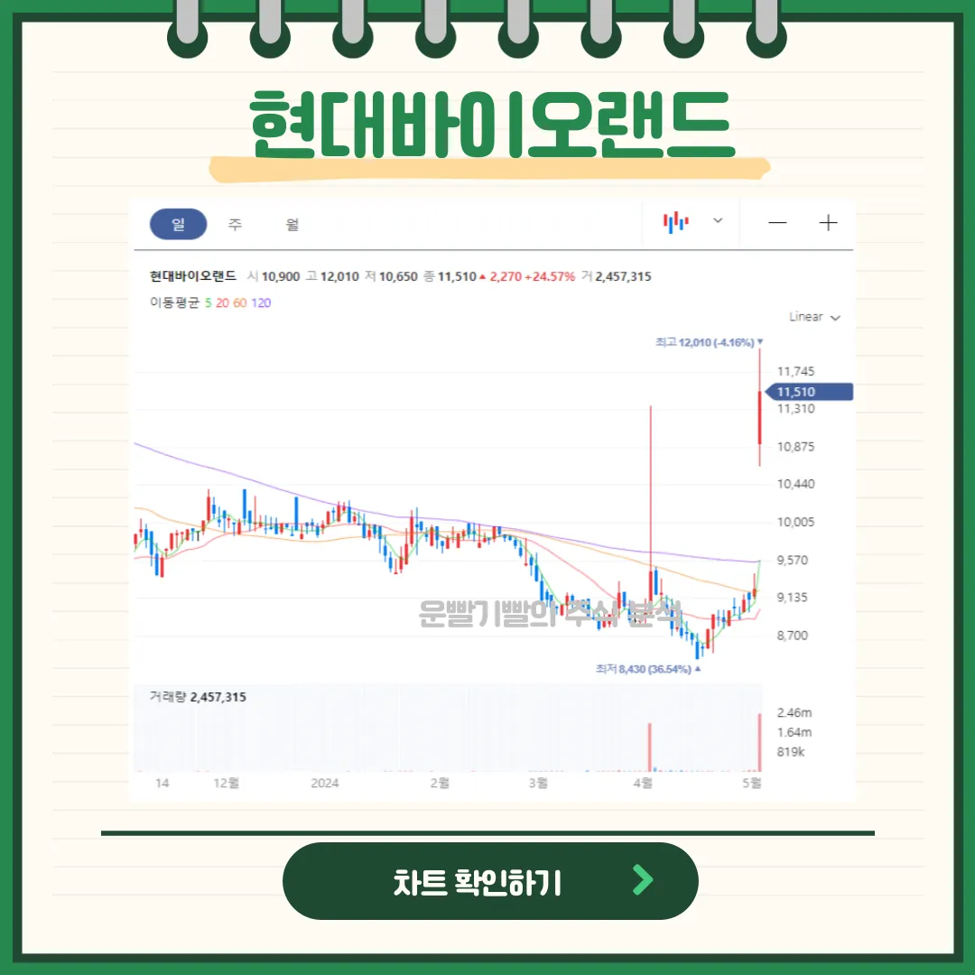 현대바이오랜드 일봉/월봉차트