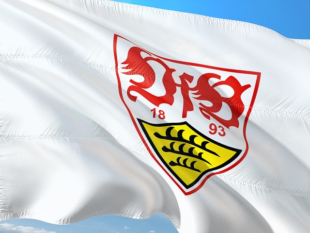 VfB 슈투트가르트 엠블럼 사진